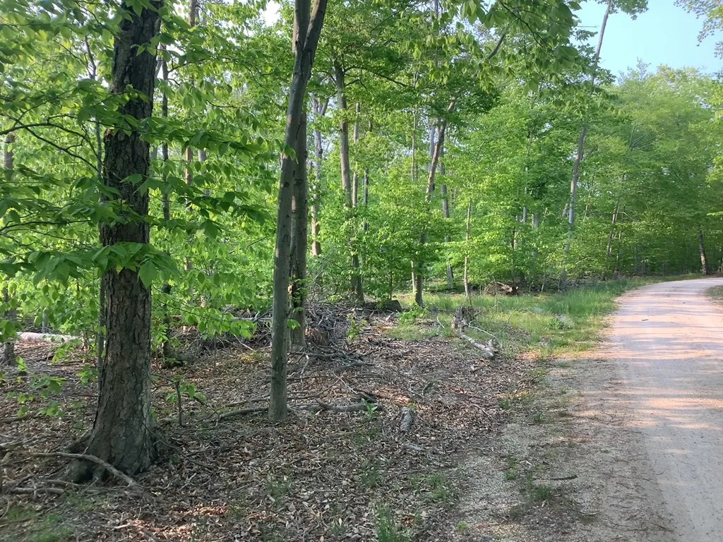Tbd Hagen Dr, Washington Island, Wisconsin 54246, ,Unimproved Land,For Sale,Hagen Dr,144044