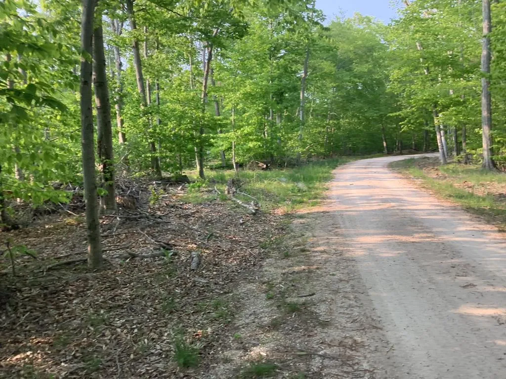 Tbd Hagen Dr, Washington Island, Wisconsin 54246, ,Unimproved Land,For Sale,Hagen Dr,144044