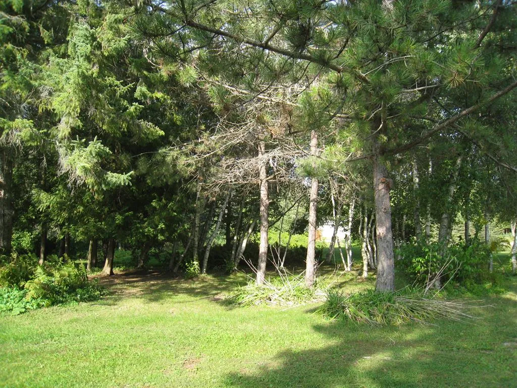 1921 S Neenah Ave, Sturgeon Bay, Wisconsin 54235, 3 Bedrooms Bedrooms, ,1 BathroomBathrooms,Inland-Residential,For Sale,S Neenah Ave,144527