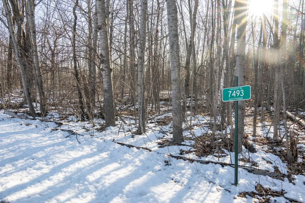 7493 Logerquist Rd, Baileys Harbor Wi 54202, ,Unimproved Land,For Sale,Logerquist Rd,143728