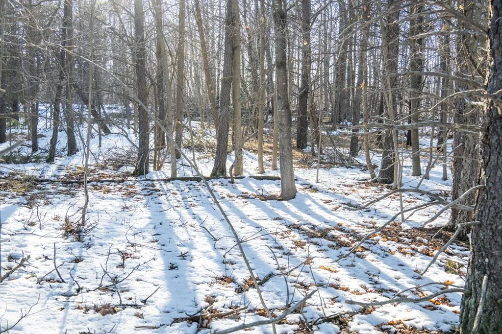 7493 Logerquist Rd, Baileys Harbor Wi 54202, ,Unimproved Land,For Sale,Logerquist Rd,143728