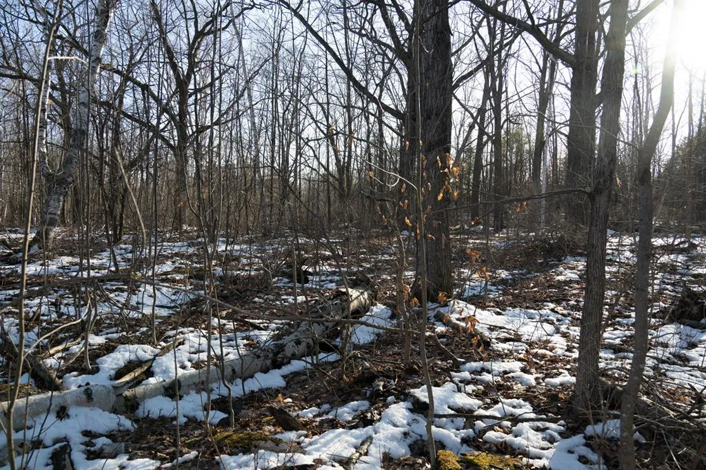 7493 Logerquist Rd, Baileys Harbor Wi 54202, ,Unimproved Land,For Sale,Logerquist Rd,143728