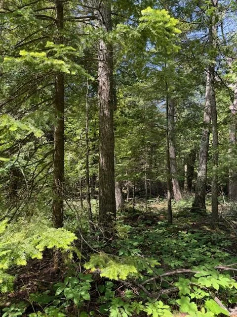 Tbd Europe Lake Ln, Ellison Bay, Wisconsin 54210, ,Unimproved Land,For Sale,Europe Lake Ln,144364