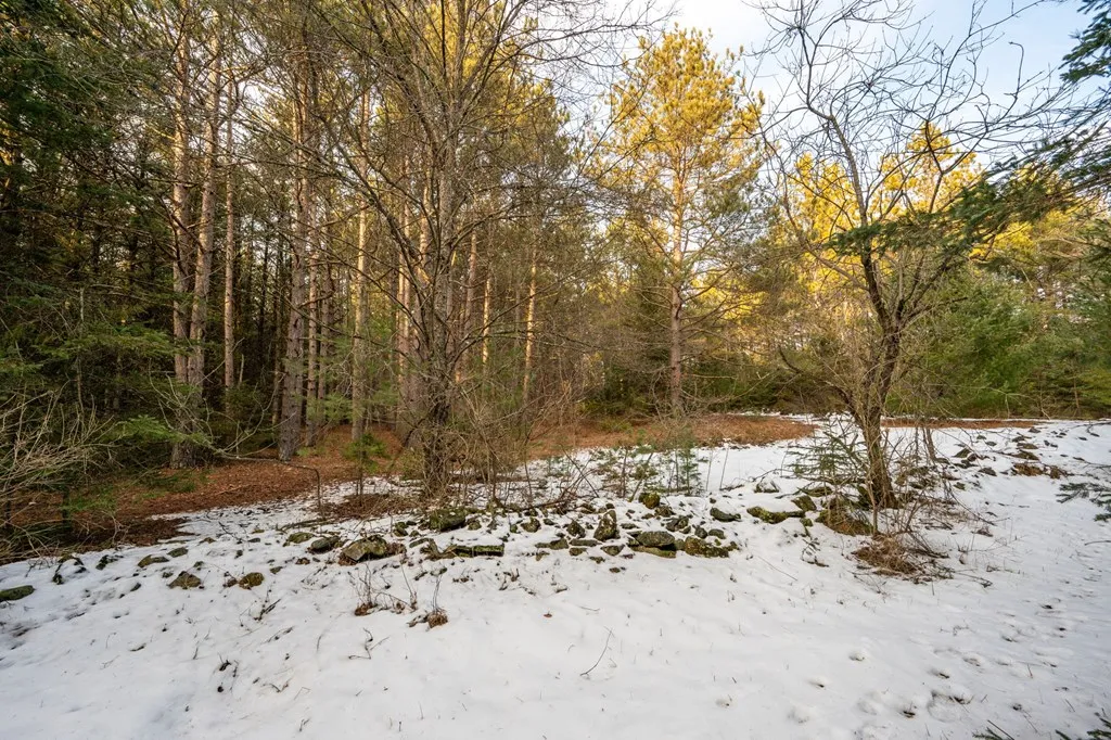 Lot 1 Quarterline Rd, Fish Creek Wi 54212, ,Unimproved Land,For Sale,Quarterline Rd,141391