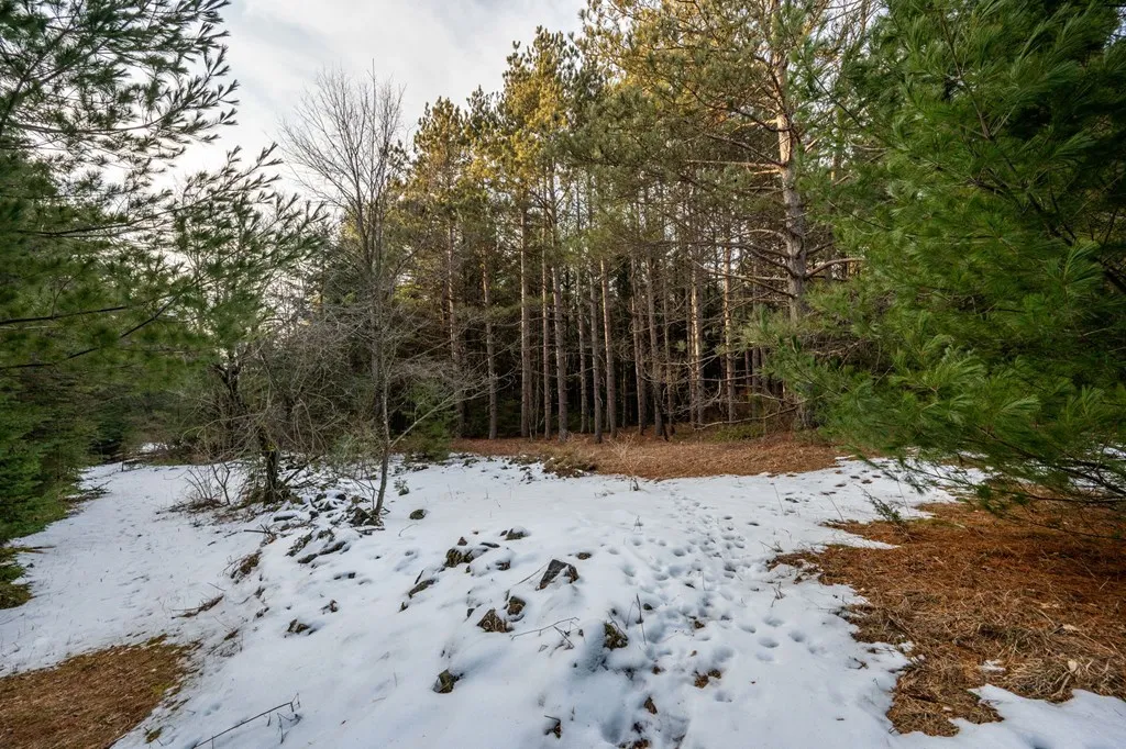 Lot 1 Quarterline Rd, Fish Creek Wi 54212, ,Unimproved Land,For Sale,Quarterline Rd,141391