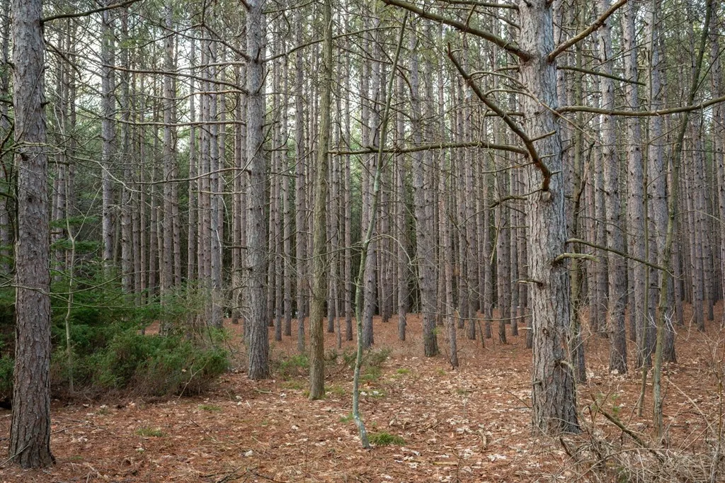 Lot 1 Quarterline Rd, Fish Creek Wi 54212, ,Unimproved Land,For Sale,Quarterline Rd,141391