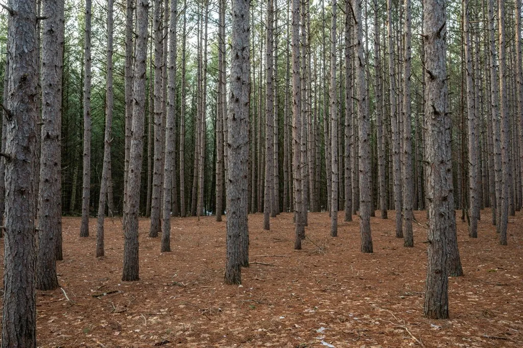 Lot 1 Quarterline Rd, Fish Creek Wi 54212, ,Unimproved Land,For Sale,Quarterline Rd,141391