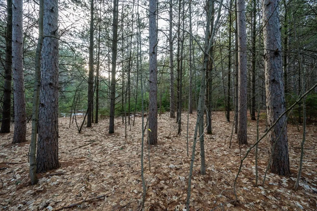 Lot 1 Quarterline Rd, Fish Creek Wi 54212, ,Unimproved Land,For Sale,Quarterline Rd,141391