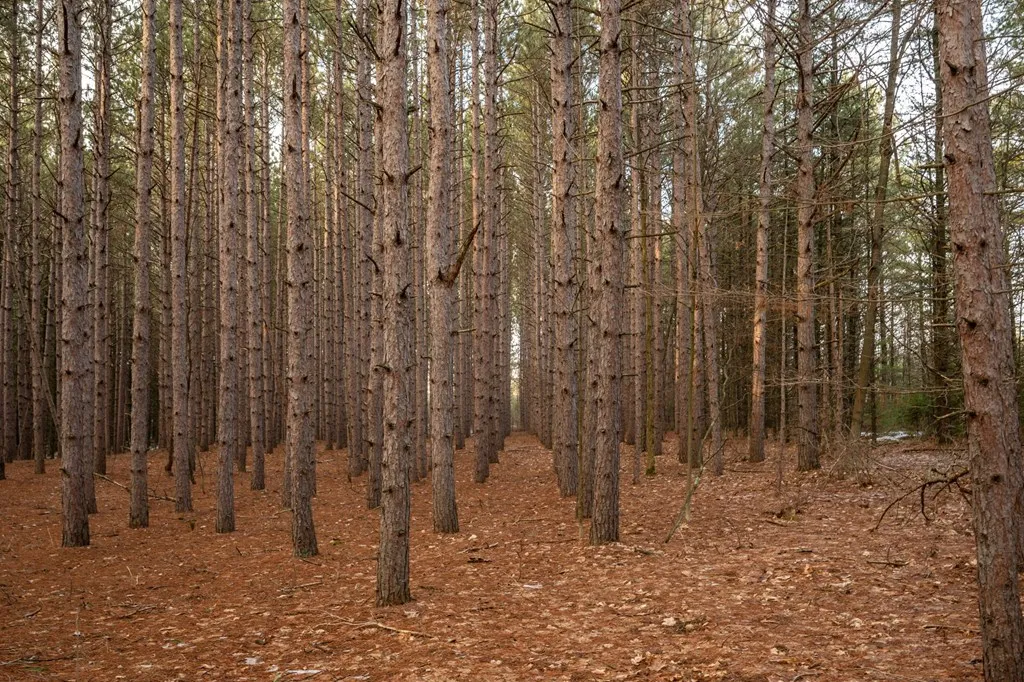 Lot 1 Quarterline Rd, Fish Creek Wi 54212, ,Unimproved Land,For Sale,Quarterline Rd,141391