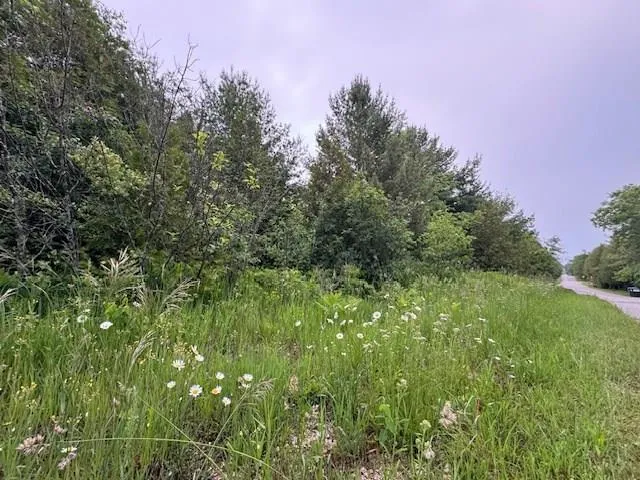 Tbd S Highland Rd, Town Of Gibraltar, Wisconsin 54212, ,Unimproved Land,For Sale,S Highland Rd,144108