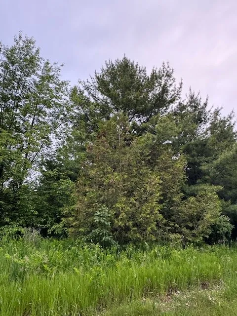 Tbd S Highland Rd, Town Of Gibraltar, Wisconsin 54212, ,Unimproved Land,For Sale,S Highland Rd,144108