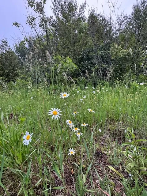 Tbd S Highland Rd, Town Of Gibraltar, Wisconsin 54212, ,Unimproved Land,For Sale,S Highland Rd,144108