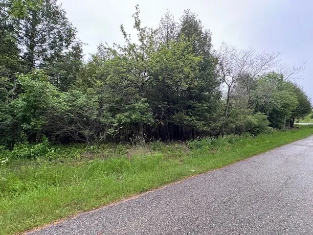 Tbd S Highland Rd, Town Of Gibraltar, Wisconsin 54212, ,Unimproved Land,For Sale,S Highland Rd,144108