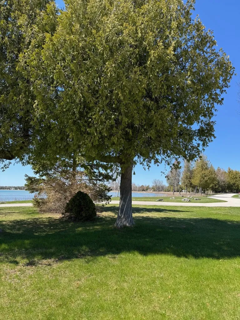 8155 Ridge Rd # 4, Baileys Harbor Wi 54202, 1 Bedroom Bedrooms, ,1 BathroomBathrooms,Condominium,For Sale,Ridge Rd,143907