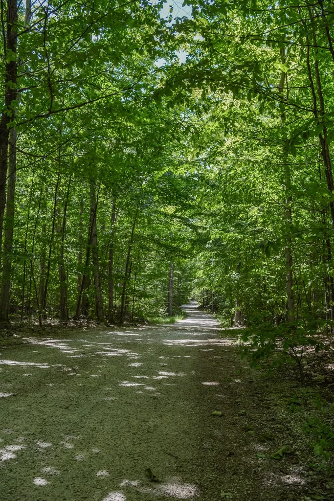 Tanglewood Ln, Fish Creek, Wisconsin 54212, ,Unimproved Land,For Sale,Tanglewood Ln,144197