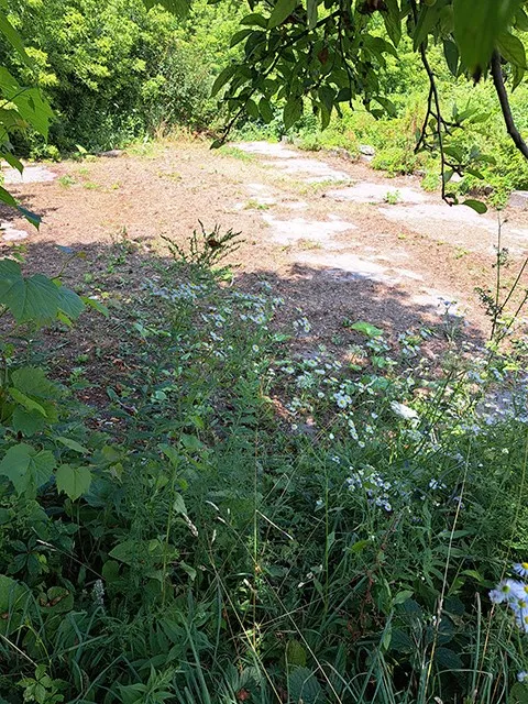 County Rd H, Sturgeon Bay, Wisconsin 54235, ,Unimproved Land,For Sale,County Rd H,144450