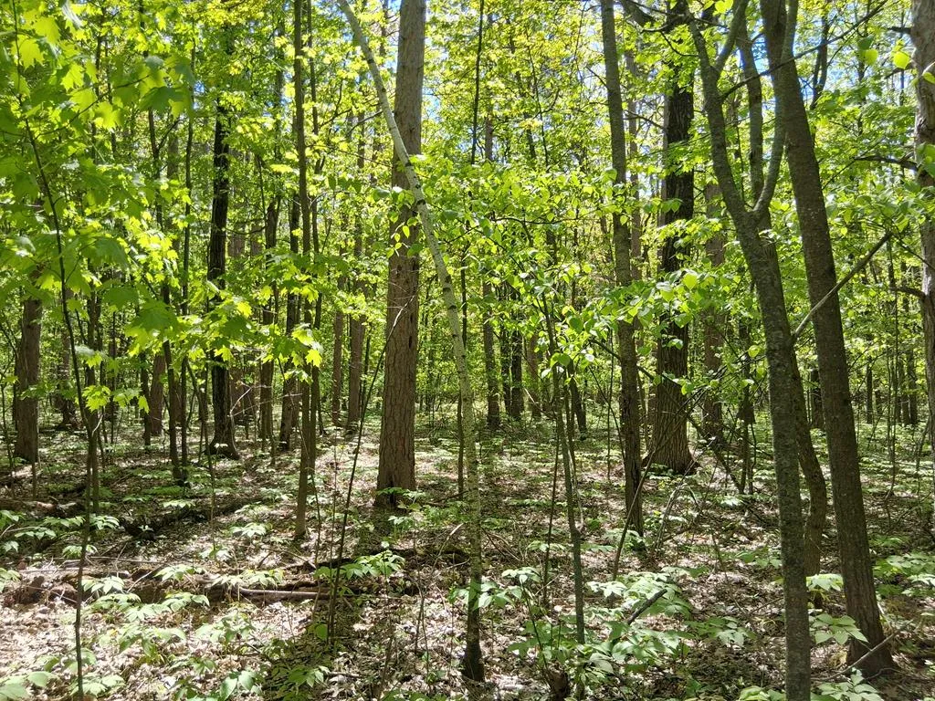 Lot 8 High Bluff Estates Rd, Sturgeon Bay, Wisconsin 54235, ,Unimproved Land,For Sale,High Bluff Estates Rd,143972
