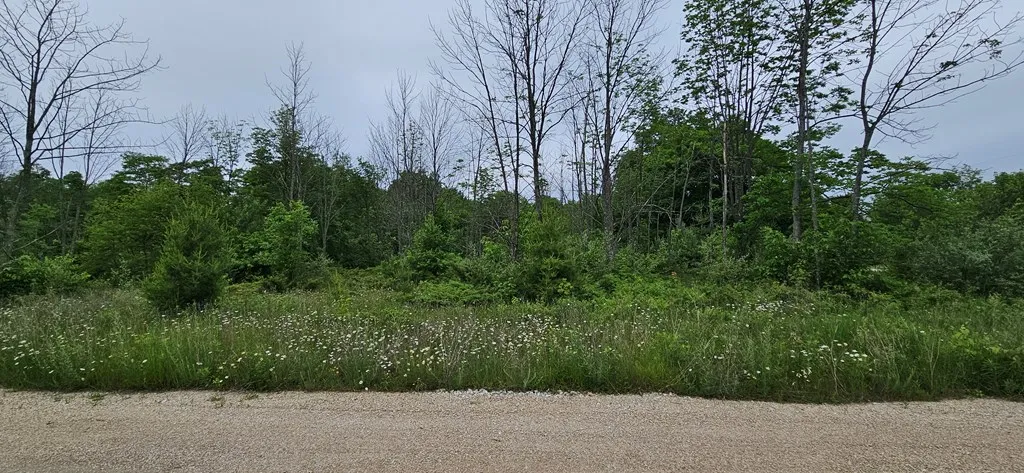 Lot 18 Orchards Tr, Egg Harbor, Wisconsin 54209, ,Unimproved Land,For Sale,Orchards Tr,144155
