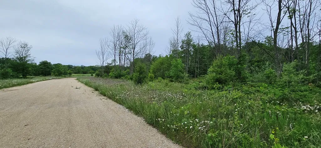 Lot 18 Orchards Tr, Egg Harbor, Wisconsin 54209, ,Unimproved Land,For Sale,Orchards Tr,144155