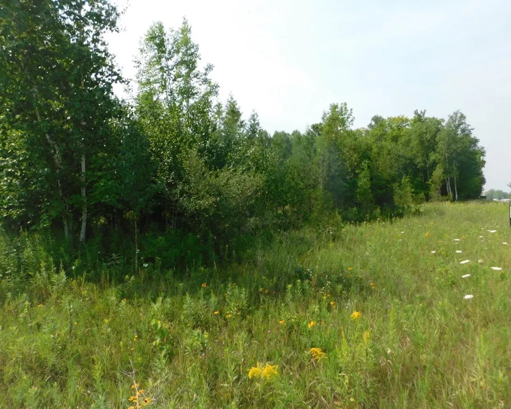 Lot 1 Hwy 42/57, Sturgeon Bay Wi 54235, ,Unimproved Land,For Sale,Hwy 42/57,143226