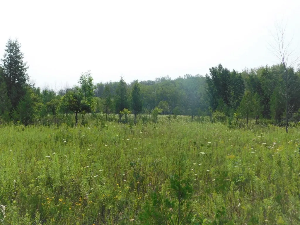Lot 1 Hwy 42/57, Sturgeon Bay Wi 54235, ,Unimproved Land,For Sale,Hwy 42/57,143226