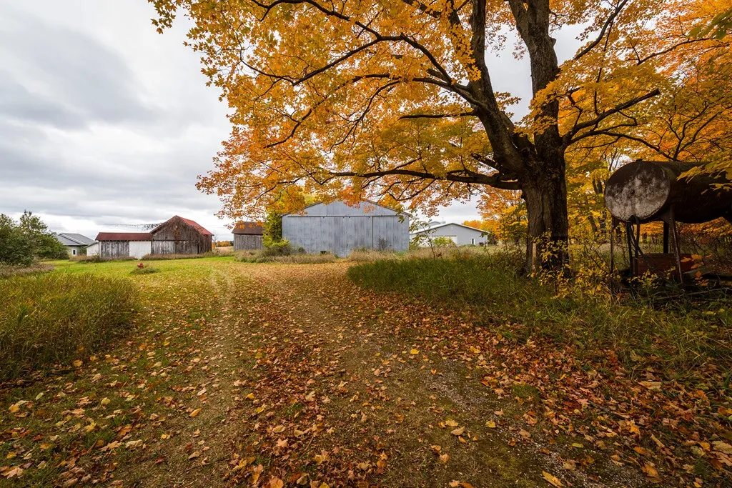Tbd Woodcrest Rd, Sister Bay, Wisconsin 54234, ,Inland-Residential,For Sale,Woodcrest Rd,144012