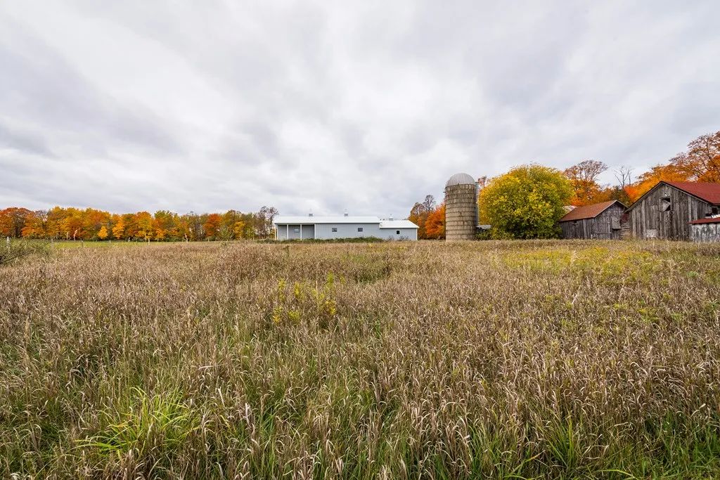 Tbd Woodcrest Rd, Sister Bay, Wisconsin 54234, ,Inland-Residential,For Sale,Woodcrest Rd,144012