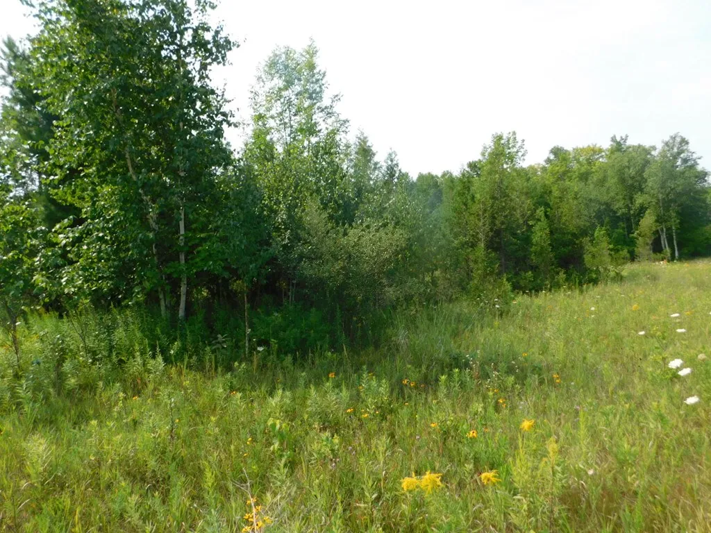 Lot 3 Hwy 42/57, Sturgeon Bay Wi 54235, ,Unimproved Land,For Sale,Hwy 42/57,143230