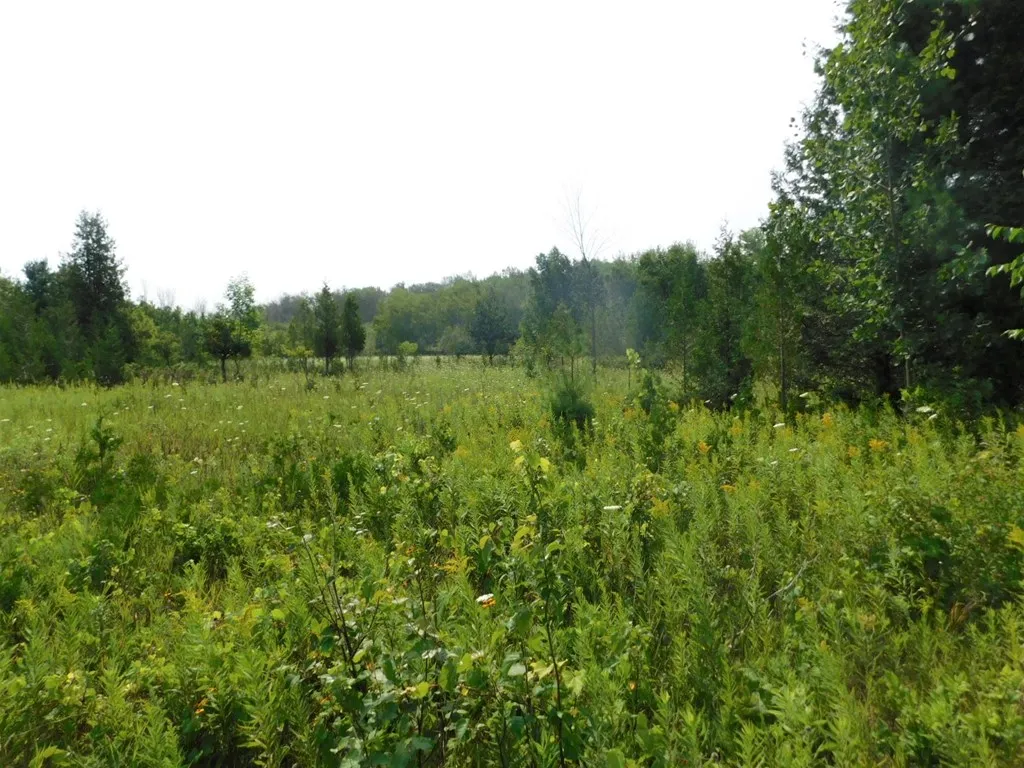 Lot 3 Hwy 42/57, Sturgeon Bay Wi 54235, ,Unimproved Land,For Sale,Hwy 42/57,143230