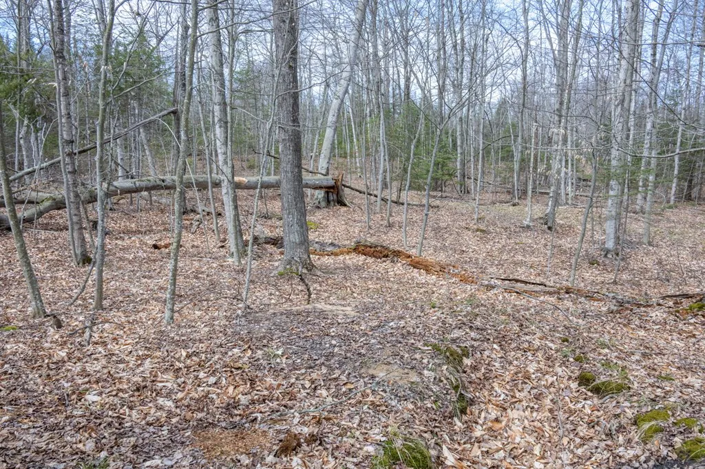 Tbd N Cave Point Dr, Jacksonport Wi 54202, ,Unimproved Land,For Sale,N Cave Point Dr,143875