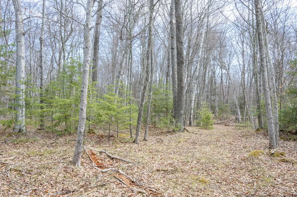 Tbd N Cave Point Dr, Jacksonport Wi 54202, ,Unimproved Land,For Sale,N Cave Point Dr,143875