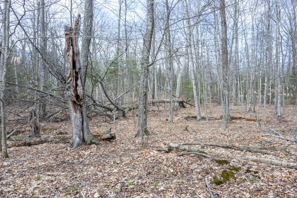 Tbd N Cave Point Dr, Jacksonport Wi 54202, ,Unimproved Land,For Sale,N Cave Point Dr,143875