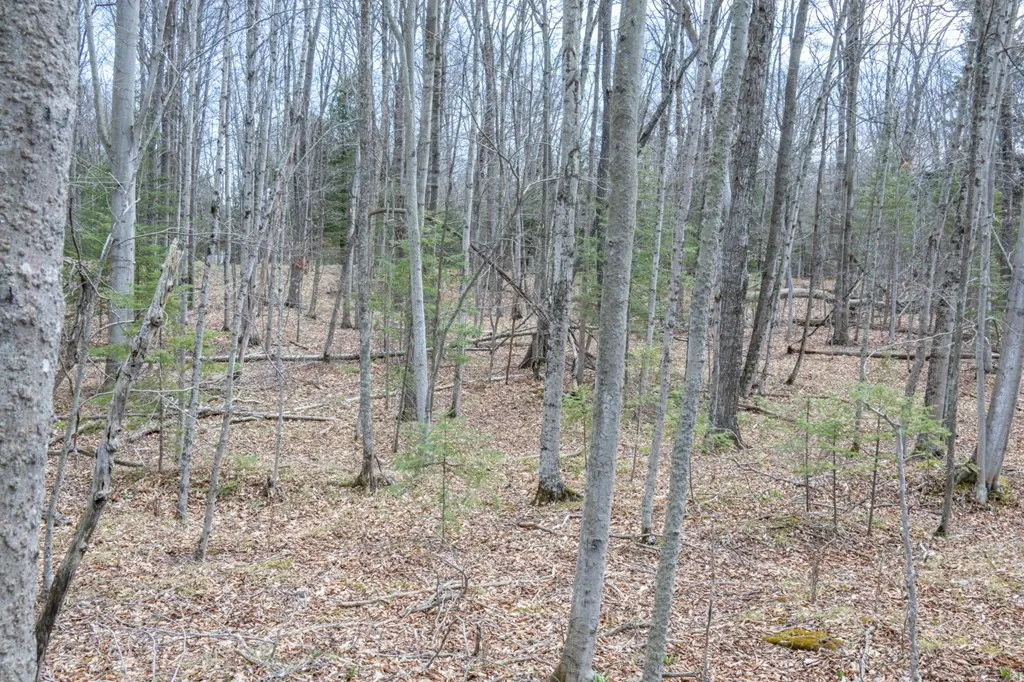 Tbd N Cave Point Dr, Jacksonport Wi 54202, ,Unimproved Land,For Sale,N Cave Point Dr,143875