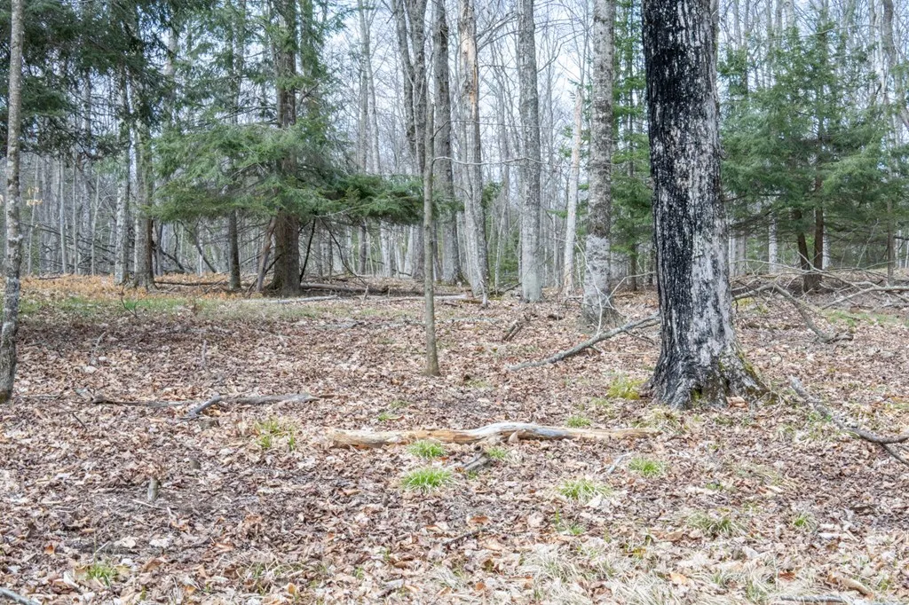 Tbd N Cave Point Dr, Jacksonport Wi 54202, ,Unimproved Land,For Sale,N Cave Point Dr,143875