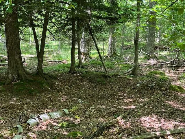 Lot 28 Fawn Ln, Ellison Bay, Wisconsin 54210, ,Unimproved Land,For Sale,Fawn Ln,144199