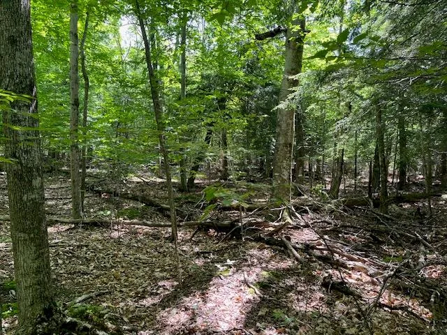 Lot 28 Fawn Ln, Ellison Bay, Wisconsin 54210, ,Unimproved Land,For Sale,Fawn Ln,144199