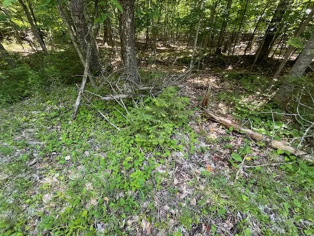 Lot 28 Fawn Ln, Ellison Bay, Wisconsin 54210, ,Unimproved Land,For Sale,Fawn Ln,144199