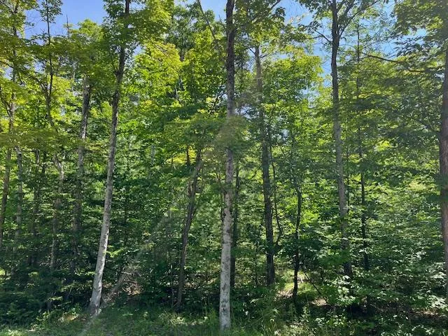 Lot 28 Fawn Ln, Ellison Bay, Wisconsin 54210, ,Unimproved Land,For Sale,Fawn Ln,144199