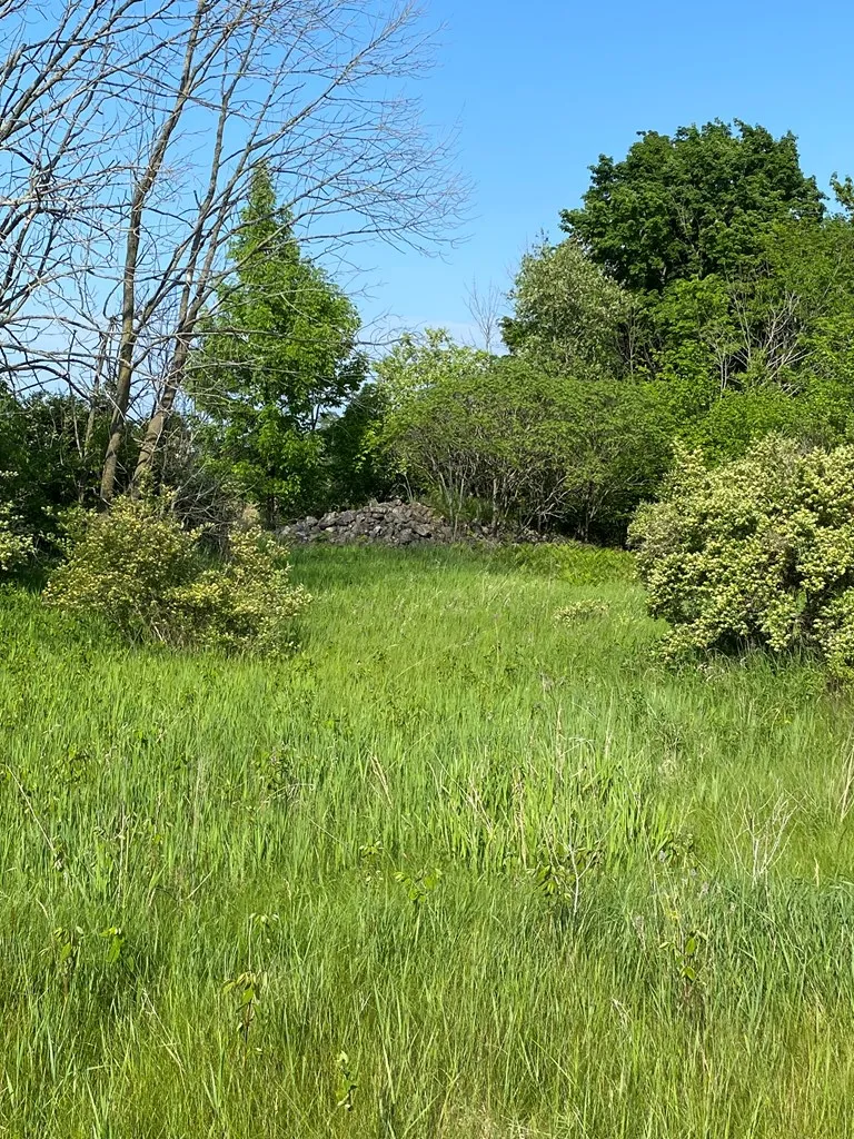 Sturgeon Bay, WI 54235, ,Unimproved Land,For Sale,144192
