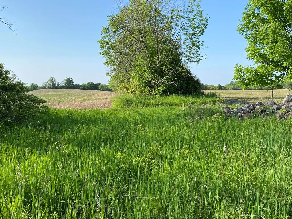 Sturgeon Bay, WI 54235, ,Unimproved Land,For Sale,144192