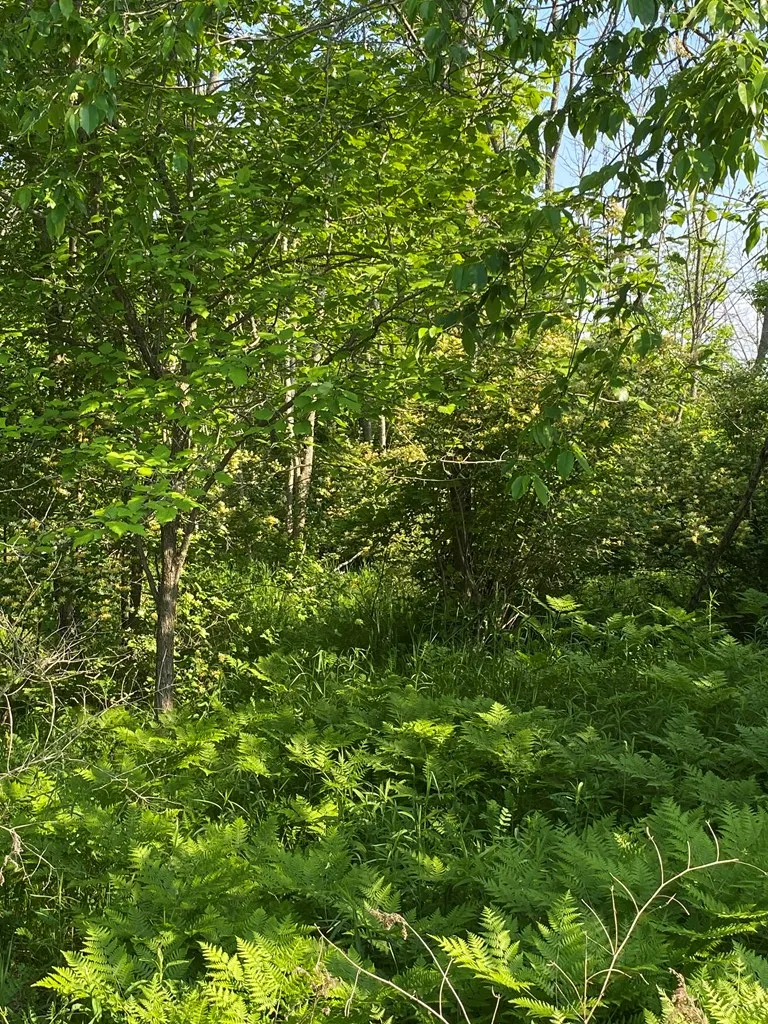 Sturgeon Bay, WI 54235, ,Unimproved Land,For Sale,144192