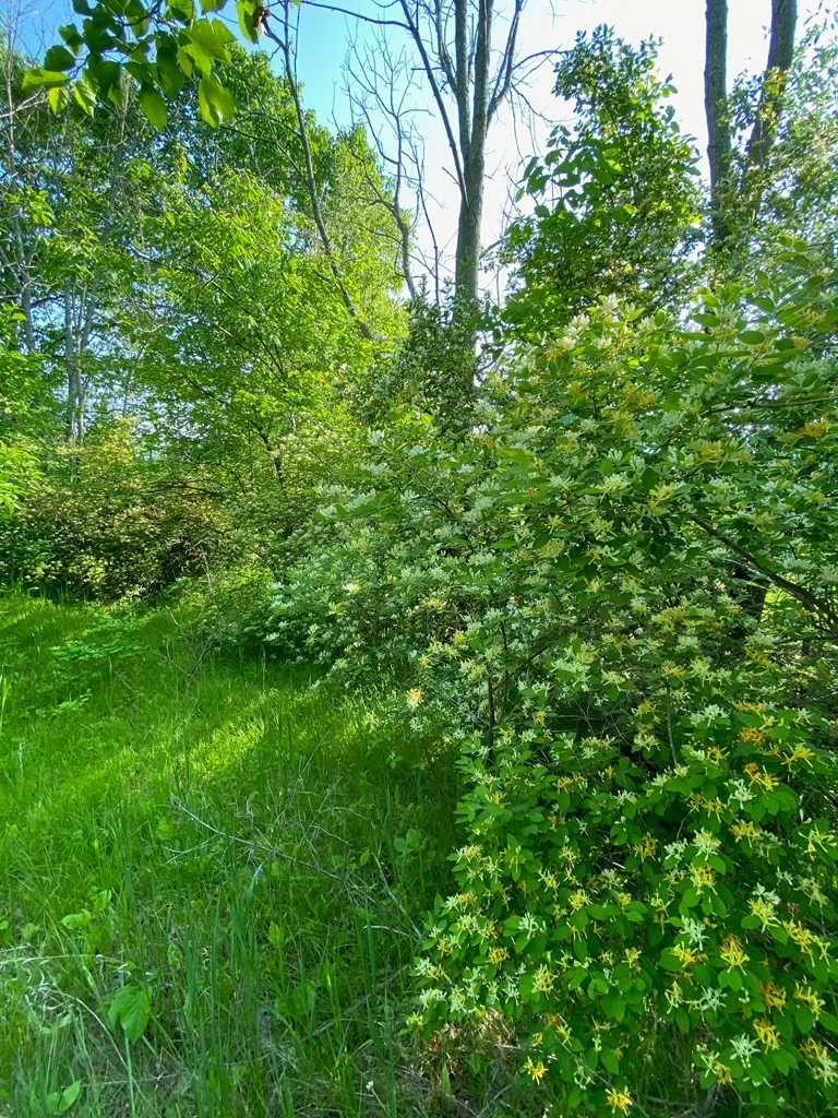 Sturgeon Bay, WI 54235, ,Unimproved Land,For Sale,144192