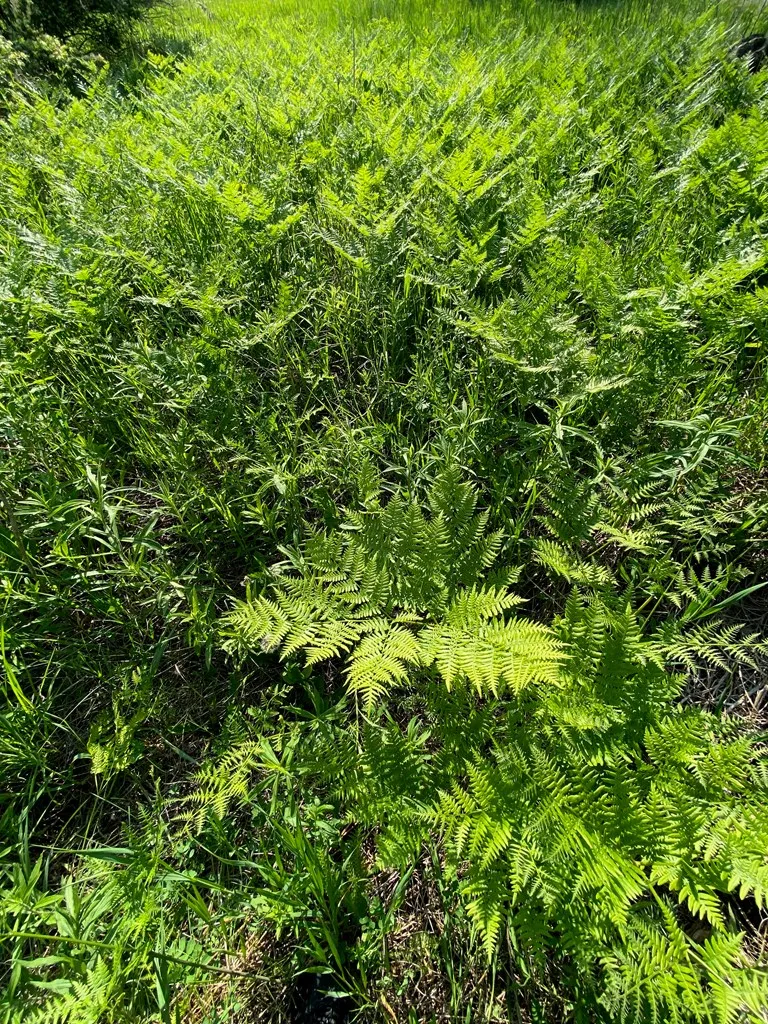Sturgeon Bay, WI 54235, ,Unimproved Land,For Sale,144192