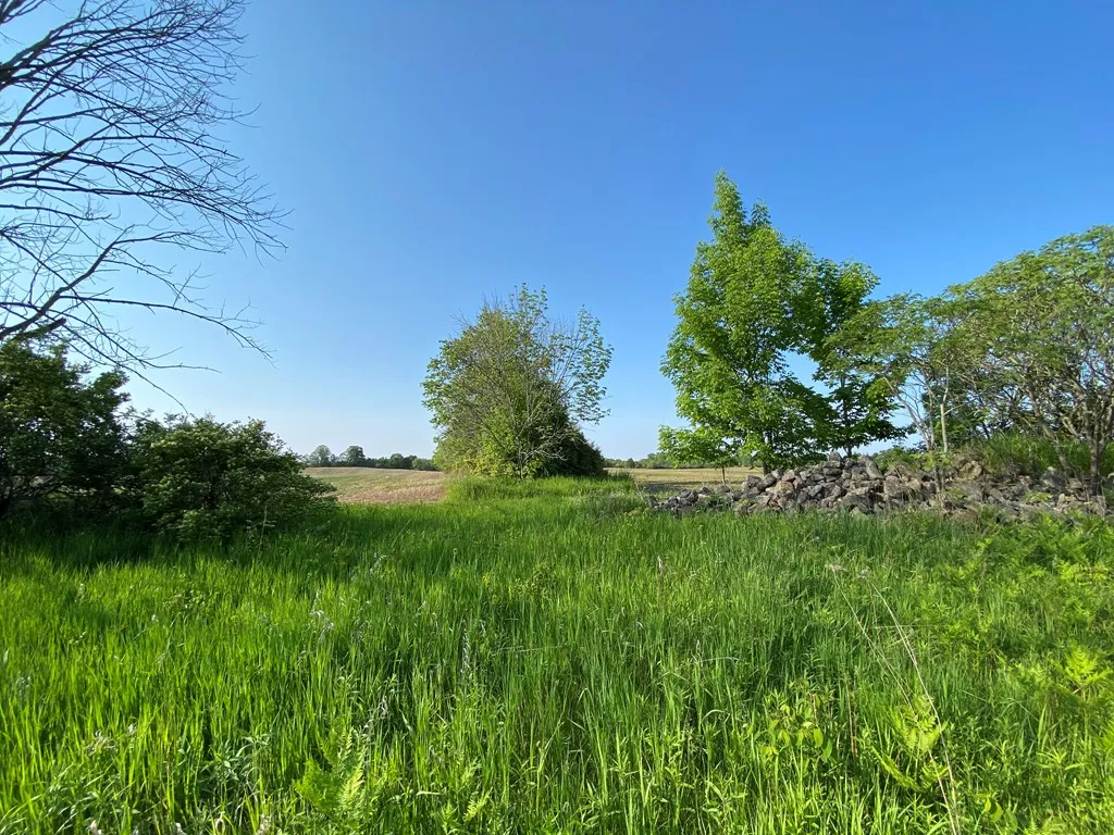 Sturgeon Bay, WI 54235, ,Unimproved Land,For Sale,144192