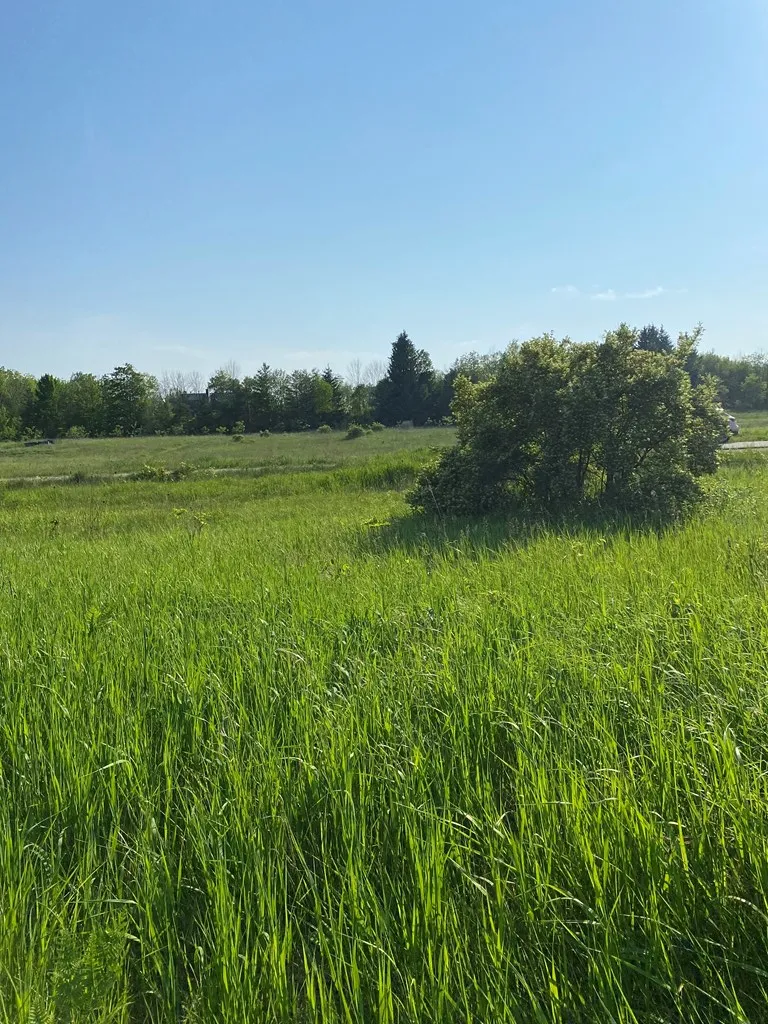 Sturgeon Bay, WI 54235, ,Unimproved Land,For Sale,144192