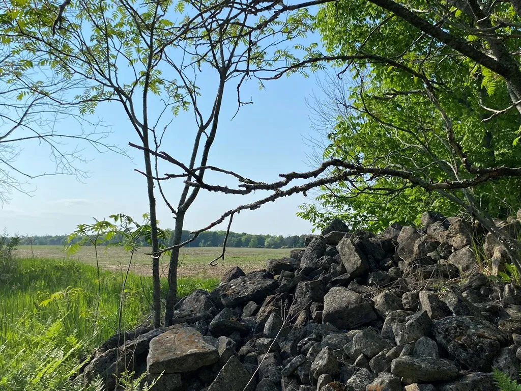 Sturgeon Bay, WI 54235, ,Unimproved Land,For Sale,144192