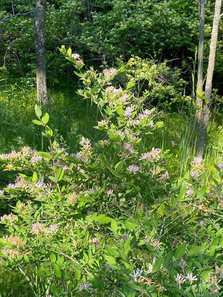 Sturgeon Bay, WI 54235, ,Unimproved Land,For Sale,144192
