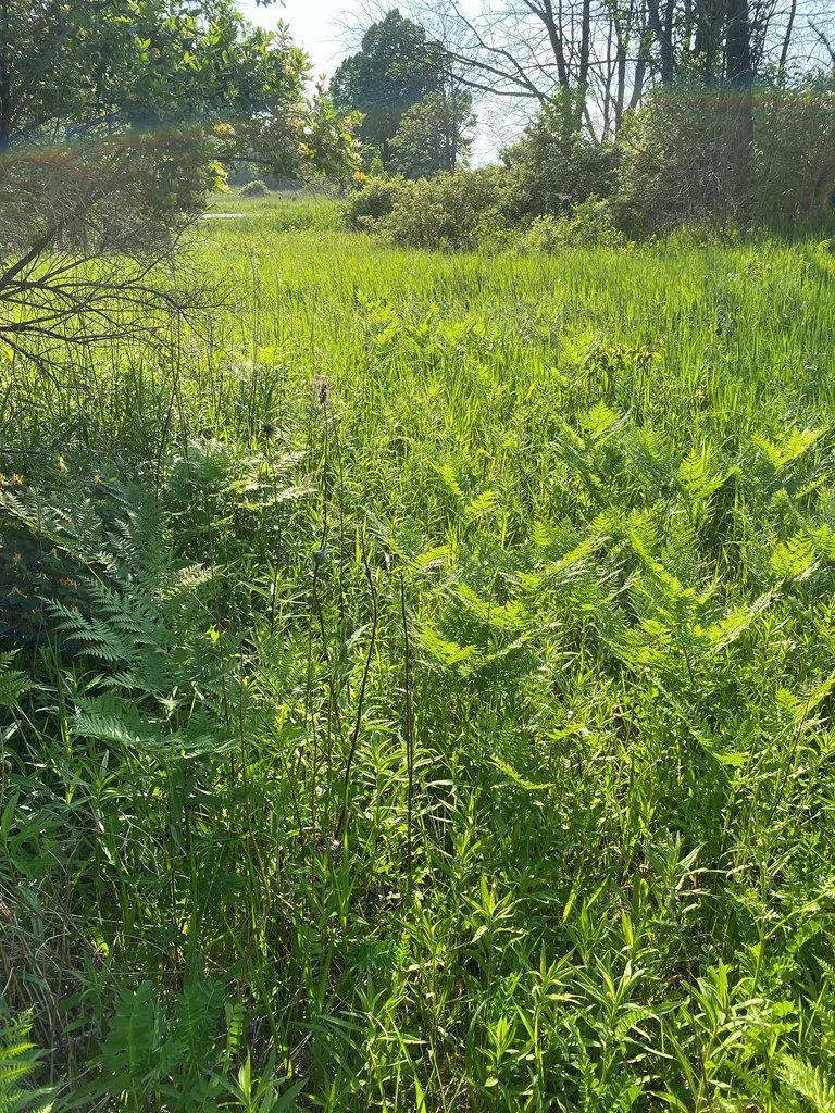 Sturgeon Bay, WI 54235, ,Unimproved Land,For Sale,144192