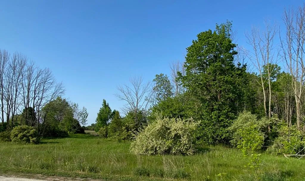 Sturgeon Bay, WI 54235, ,Unimproved Land,For Sale,144192