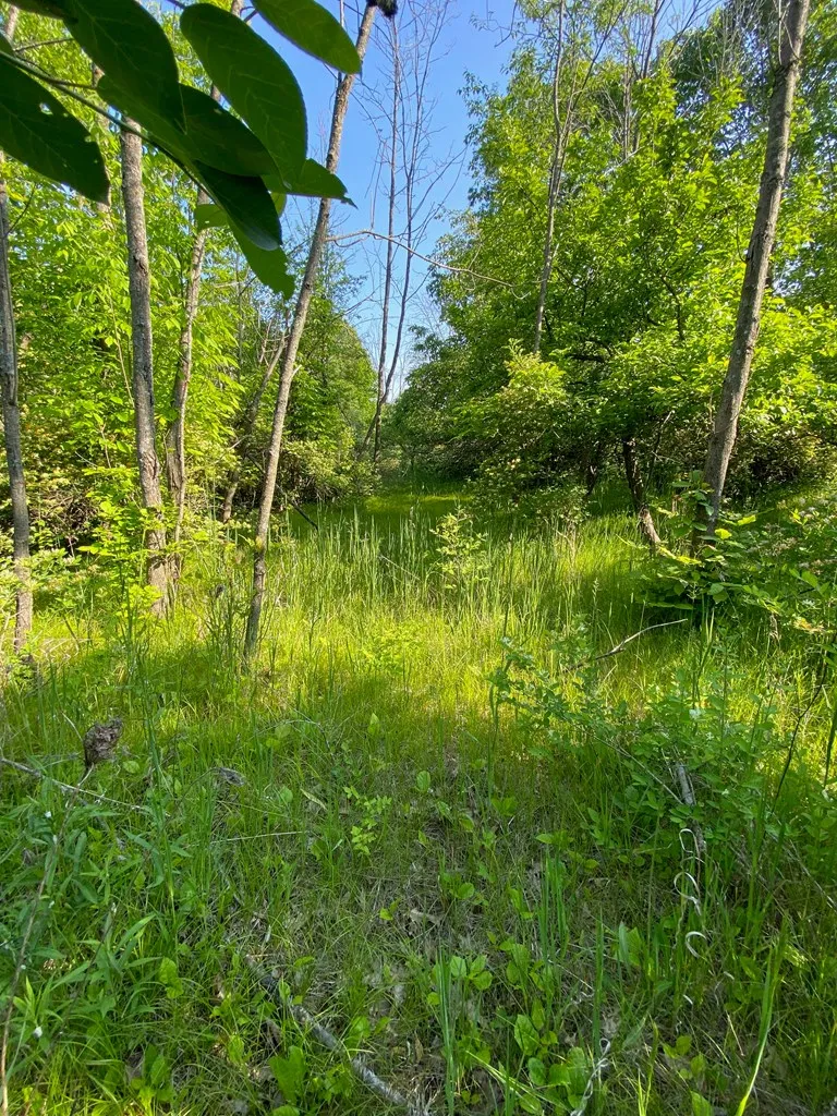 Sturgeon Bay, WI 54235, ,Unimproved Land,For Sale,144192